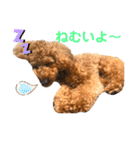 クゥさまスタンプ（個別スタンプ：3）
