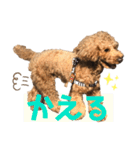 クゥさまスタンプ（個別スタンプ：6）