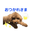 クゥさまスタンプ（個別スタンプ：8）