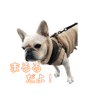 フレブル まるる（個別スタンプ：1）