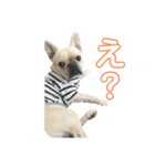 フレブル まるる（個別スタンプ：5）