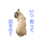フレブル まるる（個別スタンプ：22）