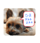 まいにちチェリーちゃん（個別スタンプ：2）