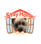 まいにちチェリーちゃん（個別スタンプ：3）