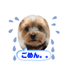 まいにちチェリーちゃん（個別スタンプ：4）