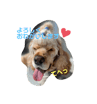 a ❤︎ b（個別スタンプ：3）