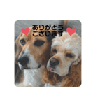 a ❤︎ b（個別スタンプ：5）