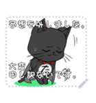 tahnyan_3message（個別スタンプ：1）