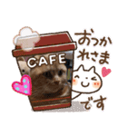 琥珀の日々③（個別スタンプ：29）