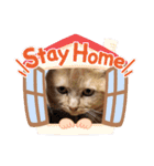 琥珀の日々③（個別スタンプ：33）