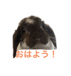 こうし将軍のスタンプ（個別スタンプ：2）