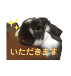 こうし将軍のスタンプ（個別スタンプ：6）