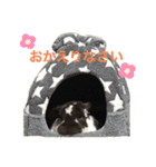 こうし将軍のスタンプ（個別スタンプ：7）