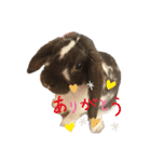 こうし将軍のスタンプ（個別スタンプ：10）