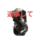 こうし将軍のスタンプ（個別スタンプ：21）