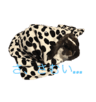 こうし将軍のスタンプ（個別スタンプ：24）