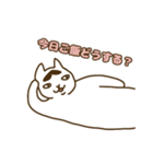 目つきの悪い太ったネコ（個別スタンプ：1）