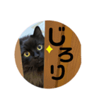 ラガマフィンのシオ 1（個別スタンプ：9）