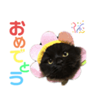ラガマフィンのシオ 1（個別スタンプ：10）