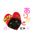 ラガマフィンのシオ 1（個別スタンプ：13）