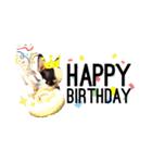 チワワのpinoスタンプ④（個別スタンプ：38）
