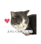 えねくんの日常。（個別スタンプ：2）