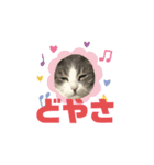 えねくんの日常。（個別スタンプ：5）