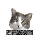 えねくんの日常。（個別スタンプ：6）