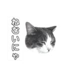 えねくんの日常。（個別スタンプ：7）