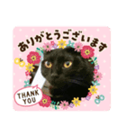 毎日NANA先生たまにルー君（個別スタンプ：7）