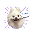 ポケコロちゃん 3（個別スタンプ：2）