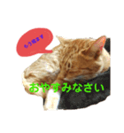メルちゃんの日常（個別スタンプ：3）