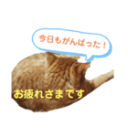 メルちゃんの日常（個別スタンプ：4）
