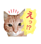 メルちゃんの日常（個別スタンプ：7）