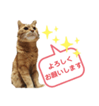 メルちゃんの日常（個別スタンプ：8）