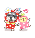 ミニシュナ福太郎（個別スタンプ：1）