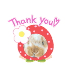 まろちろにこ②（個別スタンプ：13）