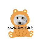 ほりえ家のトミーくん！（個別スタンプ：2）