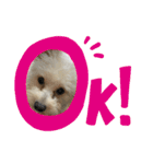 ほりえ家のトミーくん！（個別スタンプ：12）