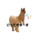 ほりえ家のトミーくん！（個別スタンプ：17）