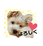ほりえ家のトミーくん！（個別スタンプ：24）