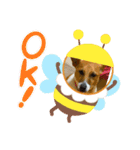 可愛いアホ犬スタンプ（個別スタンプ：1）