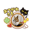 可愛いアホ犬スタンプ（個別スタンプ：5）