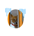 可愛いアホ犬スタンプ（個別スタンプ：8）