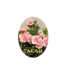 ニコ＆ナナ（個別スタンプ：16）