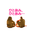 農民アイドル ネオキャトル 〜一揆編〜（個別スタンプ：20）