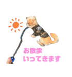 わんにゃんわーるどっ！（個別スタンプ：11）