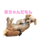 わんにゃんわーるどっ！（個別スタンプ：18）