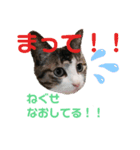 石黒カスティエルのつぶやきスタンプ①（個別スタンプ：6）
