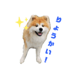 もふもふモフモフ（個別スタンプ：2）
